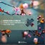 Spring Is Always Somewhere Else - Dan Stone Extended Mix