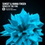 Wired By The Fire - Extended Mix