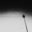 Tightrope - OCB Remix