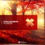 The Landslide - Extended Mix
