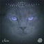 Transportador - Coyu Raw Mix
