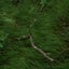 Giant feat. Moshimoss
