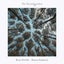 Three Doors feat. Karim Sar Sar