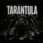 Tarantula
