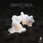 Tidal Disruption