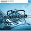 Flying High - Extended Mix