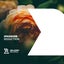 Seduction - Extended Mix