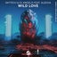 Wild Love - Extended Mix