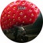 Swurlk (snarlfingercroak mix)