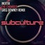 The Chamber - Greg Downey Extended Remix