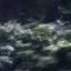 Texture [00​​​.​​​4] - 00​​​.​​​4