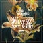 What U Say Girl