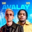 Avalay - DJames 100-113 Transition