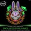Engulfed By Bunnies (Binary (SP) Remix) - Binary (SP) Remix