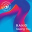 Seeing You
