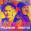 Coveted Areas - Pulsarion & Dbriztar Remix