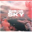 Birds In The Sky - Morgan Seatree Remix