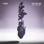 Say You Do feat. Belle Jewel