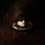Hats Off - Beatport