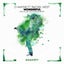 Wonderful - Pnut & Jelly & D-wayne Remix Extended