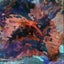 Turtle's Pace