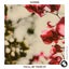 See It Thru - Original Club Mix