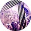 Life Appeared - Tiefschwarz Remix