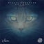 Kosmos
