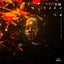 Shaolin - Integrate Remix