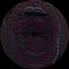 Palinka Hammer - gayphextwin remix