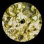 Microseism