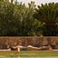 After The Swim