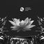Emerge