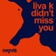 Didn't Miss You