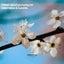 I Dream About You Loving Me - GirlInYellow Remix