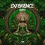 Experience