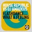 Flashdance... What A Feeling