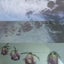 As A Sea Creature Might Watch From An Aquarium