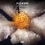 Flowers - Extended Mix