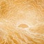 Sun Circles featuring Nathan Haines & Mr. Beale - Alex Kassian Remix