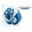Hammerhouse - InsideInfo Remix