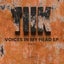 Voices in My Head - Extended Mix