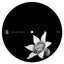 Loop #42 - Minor Science Remix