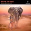 Queen Of The Desert - Extended Mix