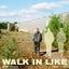 Walk In Like feat. Treks