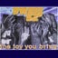 The Joy You Bring - Remix