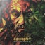 Rasta We Rasta Remix