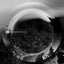 Space Echo