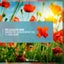 Shadows (The Sound of Without You) - F.G. Noise Extended Mix