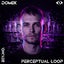 Perceptual Loop